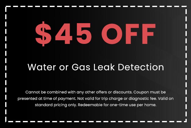 Discount on Water or Gas Leak Detection